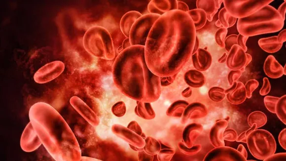 platelet