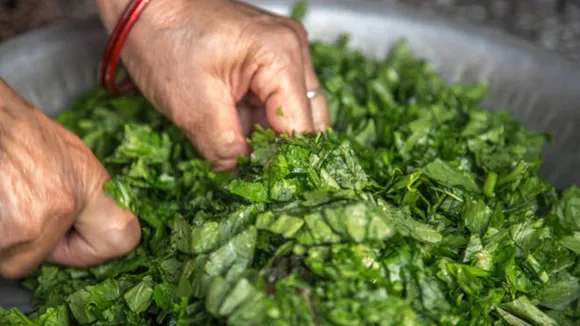 mustard leaves