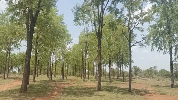 sn