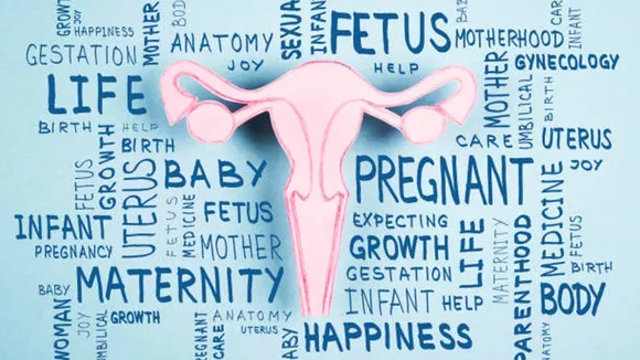progesterone