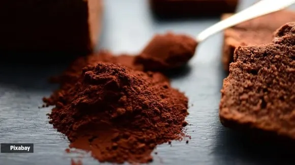 dates seeds powder benefits