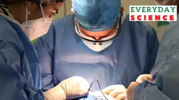 First human recipient of pig kidney transplant dies What is xenotransplantation