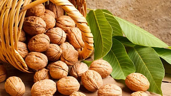 walnuts