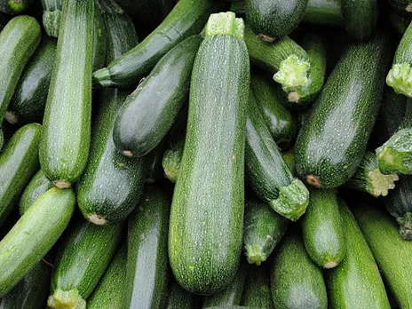 squash vegetable