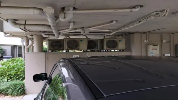 spot the snake
