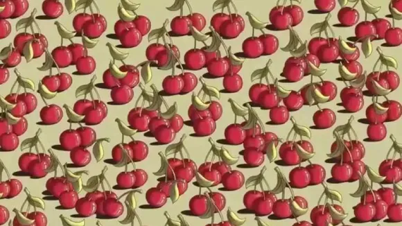 Tomato 1 