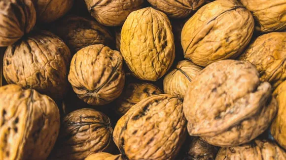 soap nut