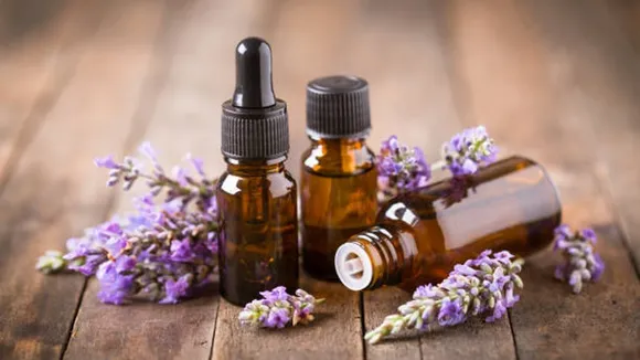 lavender oil