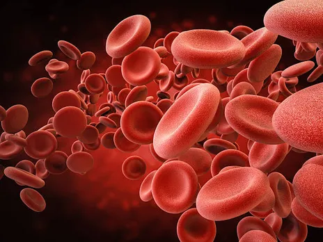 platelets