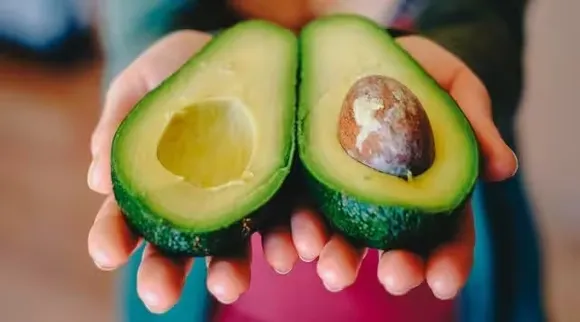 Avocado Fruit