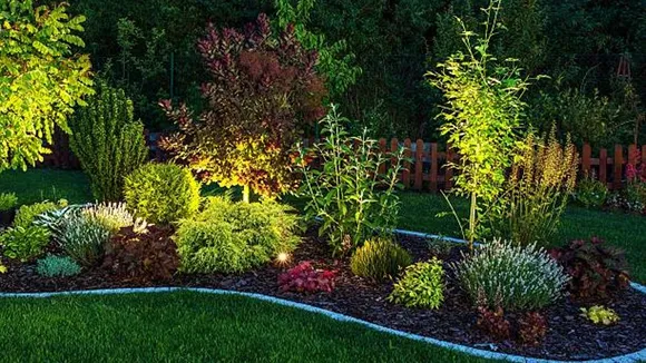 night garden