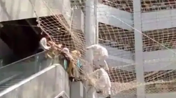 Maharashtra Tribal MLAs jump onto safety net 3rd floor Dy Speaker Zirwal leads protest ST quota to Dhangars Tamil News 