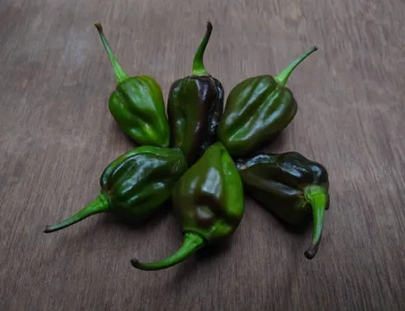 green chillies