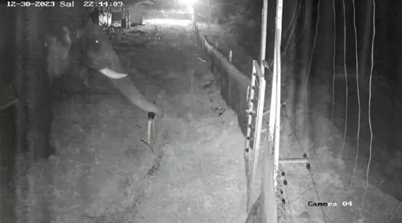 Elep CCTV.jpg