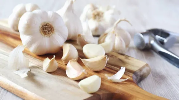 garlic