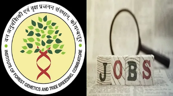 ifgtb jobs