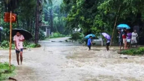 Snake in Flood 1