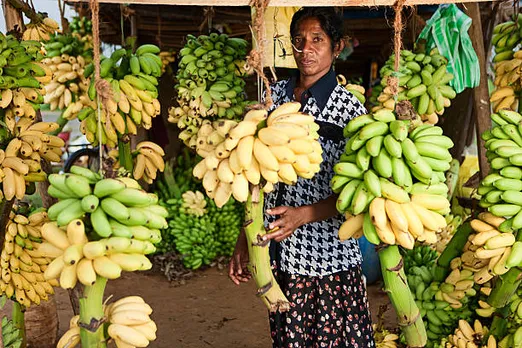 banana