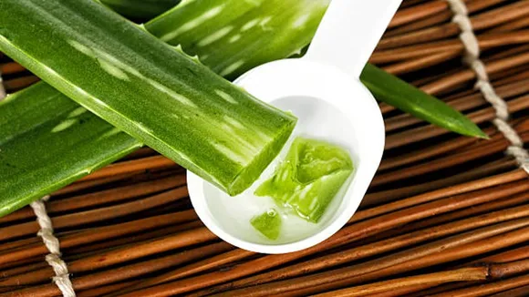 aloevera