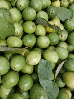 plums