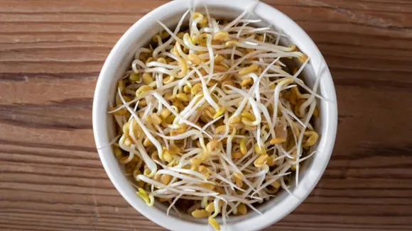 sprouts