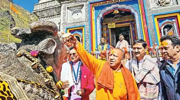 Yogi 