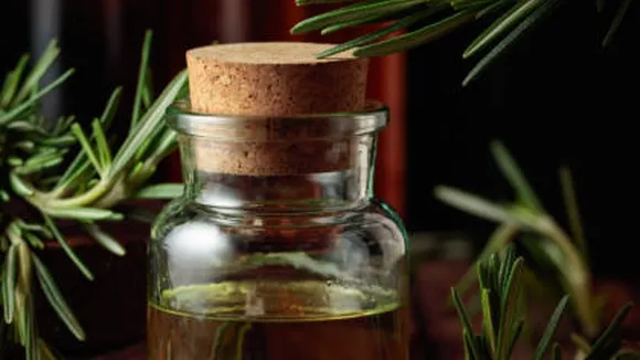 rosemary oil