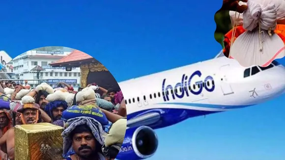 coconuts as cabin luggage in flights