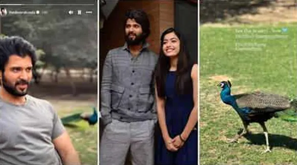 rashmika mantha