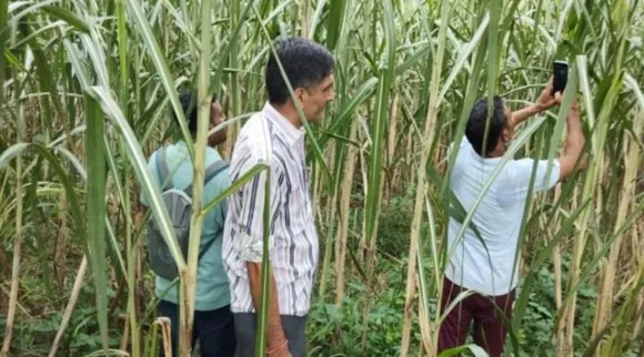 Farmer.jpg