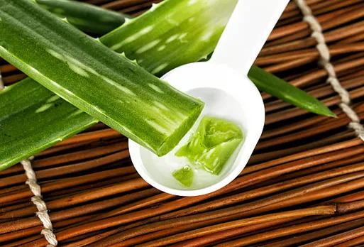 aloevera