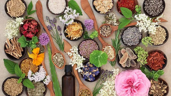 herbs