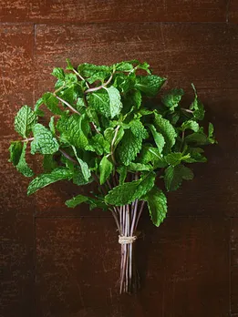 mint leaves