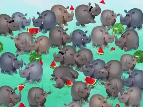 Hippo