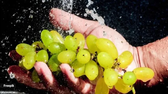 How to wash and store grapes