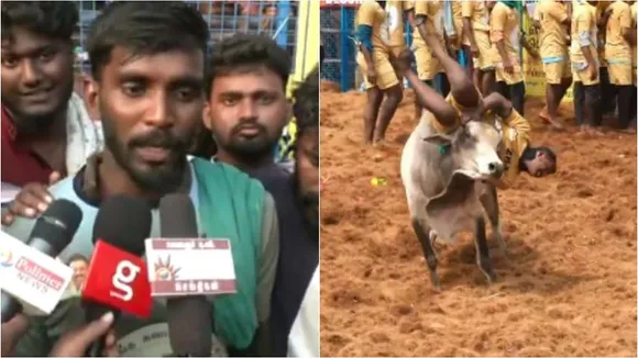 Palamedu jallikattu