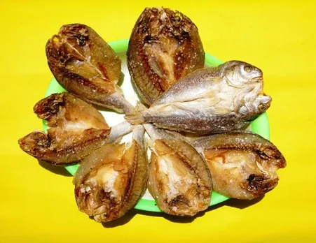 fish