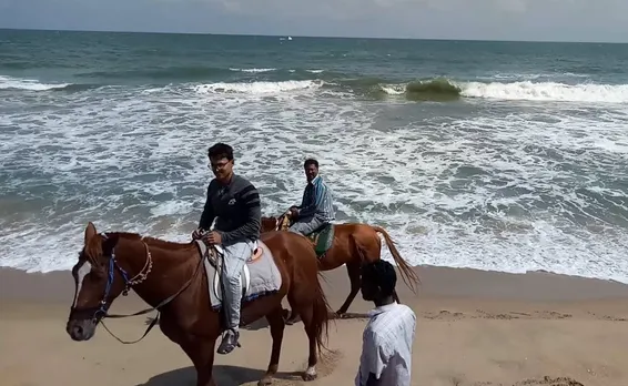 Horse ride case 
