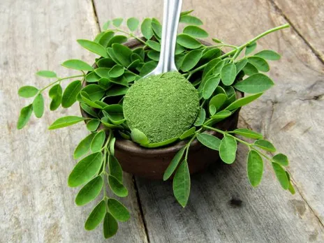 moringa