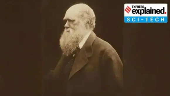 Darwin