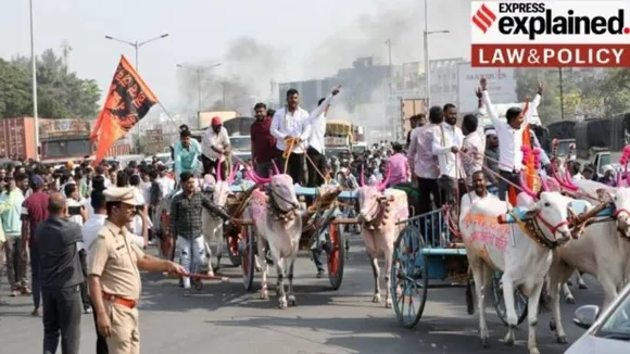 Maratha