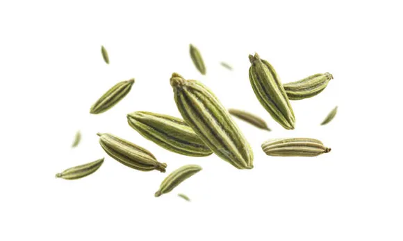 fennel seeds