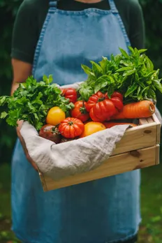 home garden vegetables