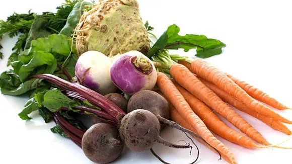 root vegetables