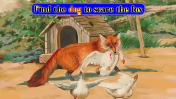 Dog 1
