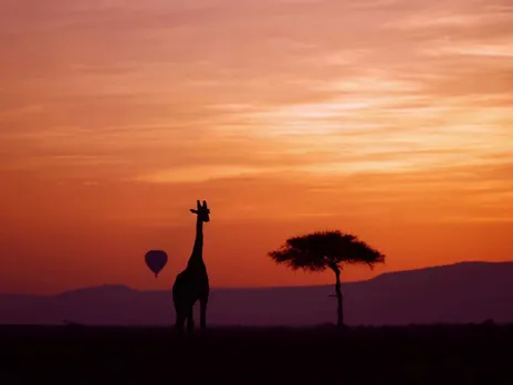 africa