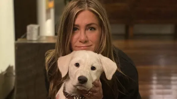 harry po - 2026-01-05T115212.606