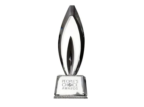 Who won What  at the 45th People’s Choice Awards