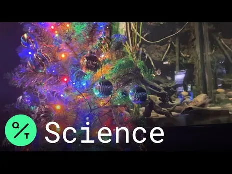 The Electric F "eel" s