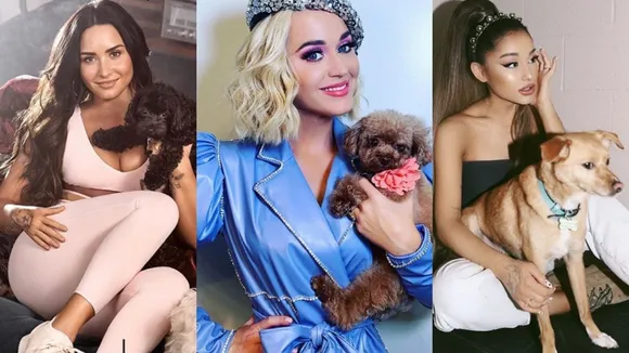10 Musicians With Their Paw Friends To Make Your Day